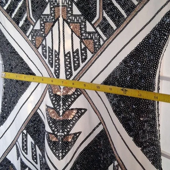 Expresss Sequined Dress